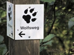 484091 by ulla trampert pixelio.de